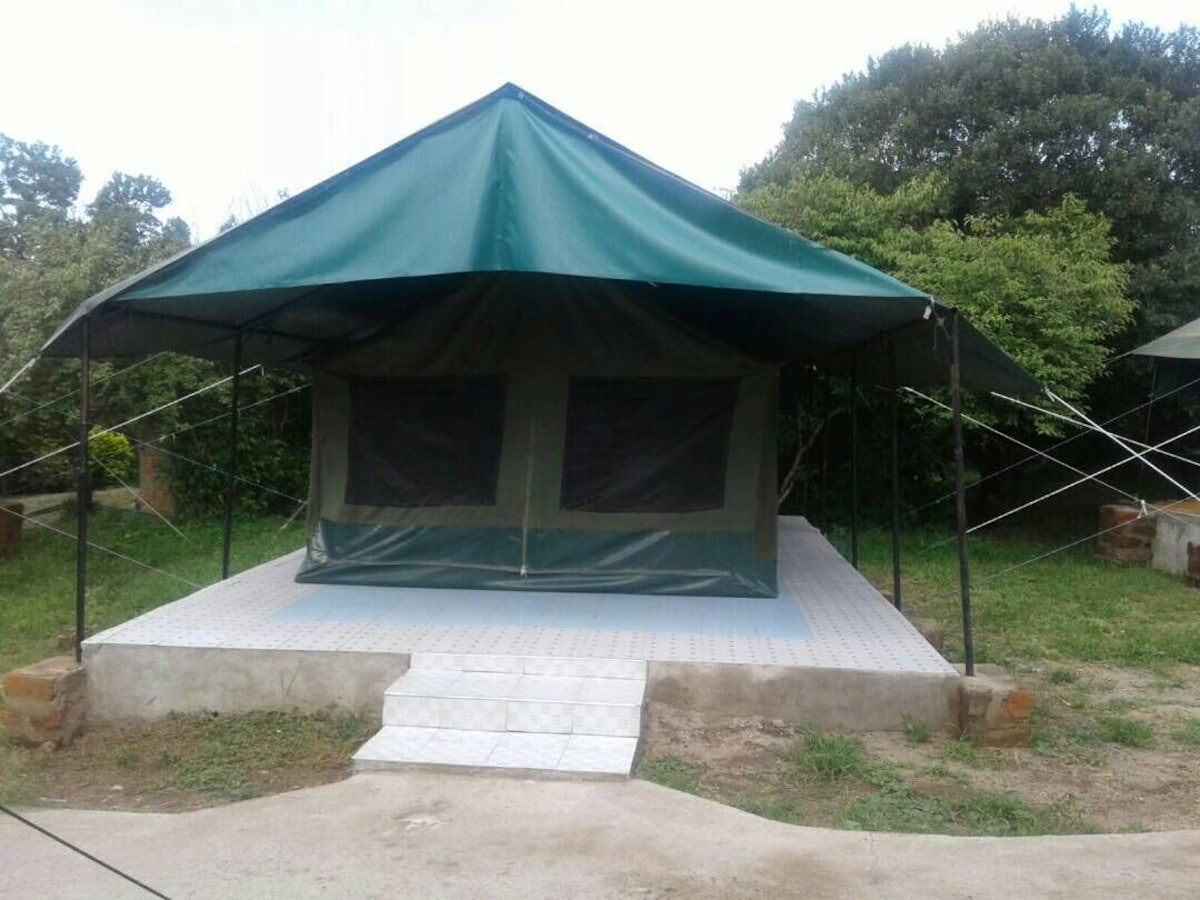 Miti Mingi Eco Camp